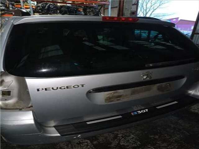 Portón Peugeot 307 2.0 HDI 110