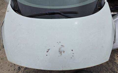 Capot Renault Scenic PRIVILEGE 131CV 96KW