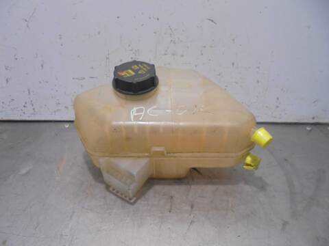 Deposito Expansion Ford EcoSport TITANIUM 95CV 70KW