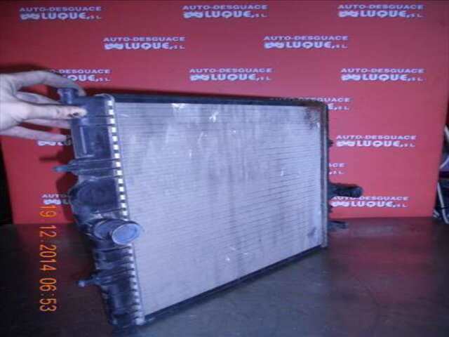 Foto 3ª: Radiador Motor Peugeot 306 1.9D [WJZ]