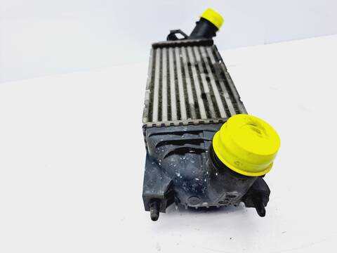 Foto 4ª: Intercooler Peugeot 407 1.6 HDI FAP CAT 9HZ - DV6TED4) 109CV 80KW (2005)