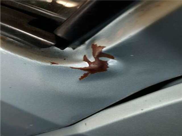 Foto 3ª: Puerta Delantera Izquierda Peugeot 205 1.2 [1F1]