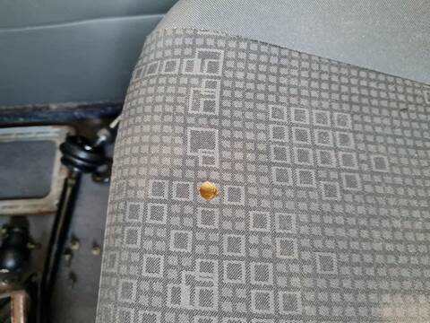 Foto 2ª: Asiento Delantero Derecho Santana 300 87CV [RHP] (2006)