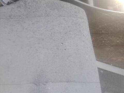 Foto 2ª: Asiento Delantero Izquierdo Iveco Eurocargo 100E18 E5 130CV 177KW [F4AE3481B] (2019)