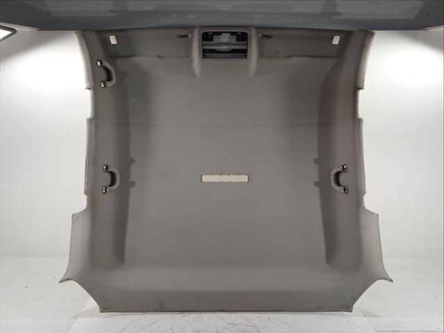 Techo Interior Seat Leon ERENCE PLUS 110CV 81KW