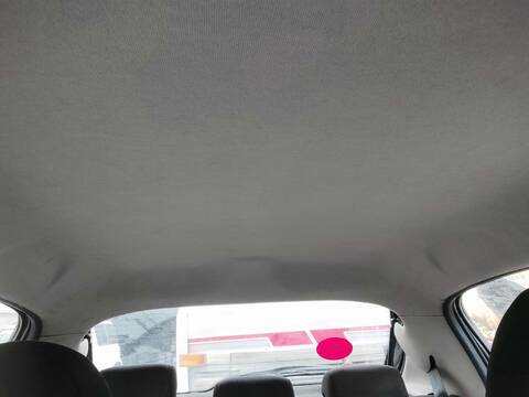 Techo Interior Peugeot 206 8HZ