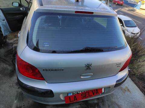 Portón Peugeot 307 9HY BERLINA