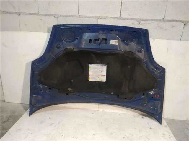 Foto 2ª: Capot Fiat Punto 1.3 D [199A2000]