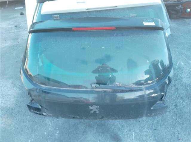 Portón Peugeot 3008 1.6 HDI FAP (109 CV)
