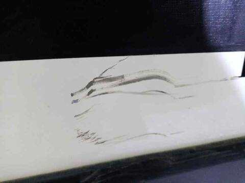 Foto 2ª: Puerta Delantera Izquierda Peugeot Bipper BASICO 75CV 55KW [199A9000] (2016)