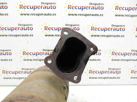Foto 3ª: Catalizador Dacia Duster K9K796 (2010)