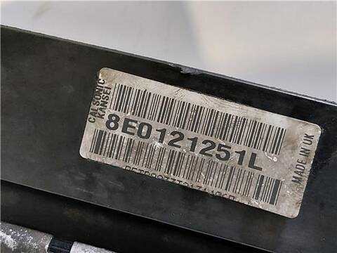 Foto 3ª: Radiador Motor Audi A4 2.0 FSI AVANT 150CV 110KW [AWA] (2004)