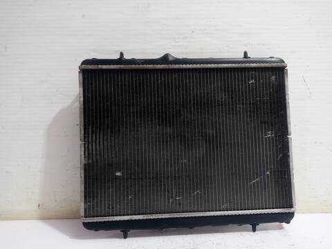 Foto 3ª: Radiador Motor Peugeot 207 CONFORT 90CV 66KW [9HXDV6ATED4] (2010)