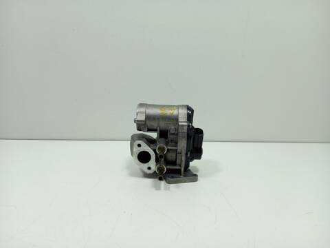 Valvula EGR Audi A3 BLP