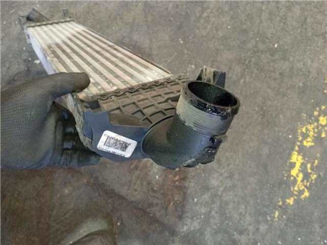 Foto 3ª: Intercooler Ford Focus 1.8 TDCI [KKDA]