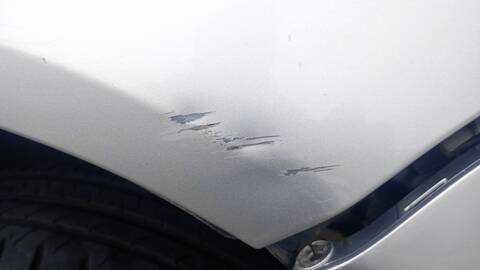 Foto 3ª: Aleta Delantera Derecha Volkswagen Golf ADVANCE 105CV 77KW [CAY] (2010)