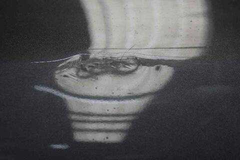 Foto 3ª: Puerta Trasera Izquierda Opel Astra COSMO 110CV 81KW [A17DTR] (2010)