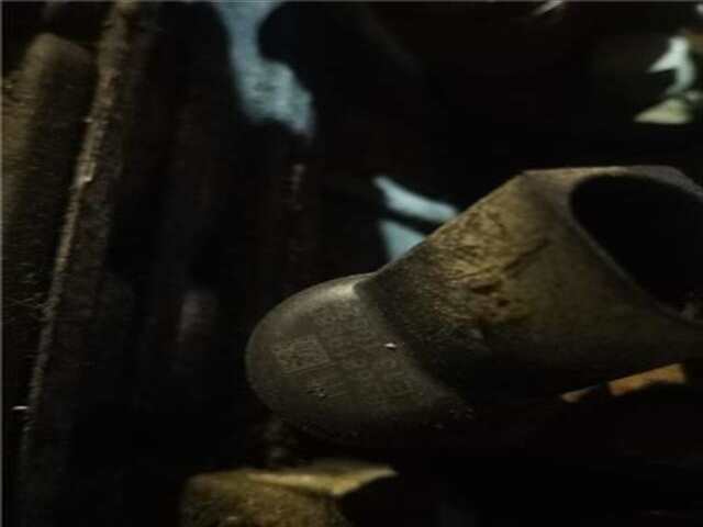 Foto 2ª: Inyectores Peugeot 406 2.0 HDI 90 [RHY (DW10TD)]