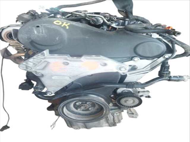 Motor Completo Volkswagen Golf 1.6 TDI