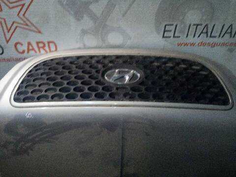 Foto 3ª: Capot Hyundai Terracan 2.9 CRDI GL 163CV 120KW [J3] (2004)