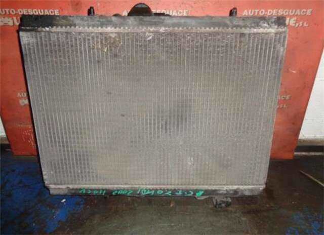 Radiador Motor Citroen C5 2.0 HDI