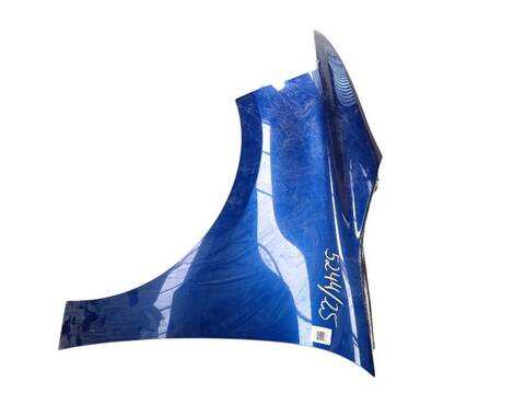 Foto 3ª: Aleta Delantera Izquierda Citroen C4 1.6 BLUEHDI 120 120CV (2013)