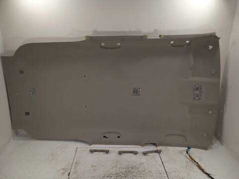 Techo Interior Nissan X-Trail 2.0 DCI TD CAT 150CV 110KW T31)