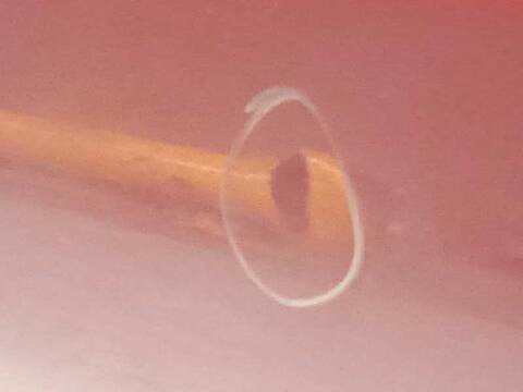 Foto 4ª: Puerta Trasera Izquierda Volvo V60 2.0 DIESEL CAT 163CV 120KW [D5204T2] (2011)