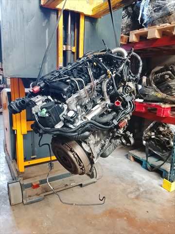 Motor Completo Ford Focus 1.6 D