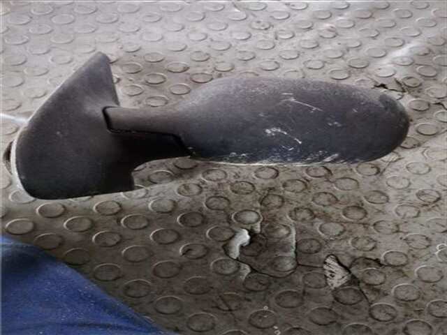 Foto 3ª: Retrovisor Izquierdo Renault Clio 1.9 DTI ALIZE [1.9 LTR. - 59 KW DTI DIESEL] [f9q782]