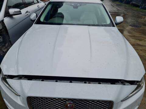 Capot Jaguar XE PORTFOLIO 180CV 132KW