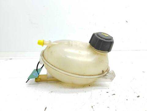 Deposito Expansion Renault Clio ZEN 118CV 87KW