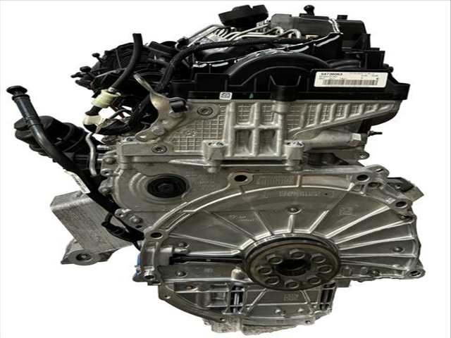 Foto 3ª: Motor Completo Bmw Serie 5 518 265 CV 195KW [B57D30A]