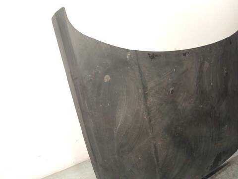 Foto 2ª: Capot Land Rover Range 2.7 TD V6 CAT 190CV 140KW [276DT] (2009)