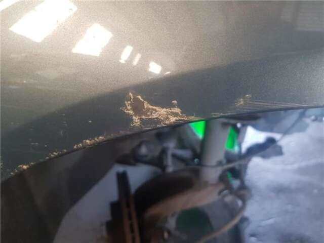 Foto 2ª: Aleta Delantera Derecha Renault Megane 1.4 AUTHENTIQUE [1.4 LTR. - 72 KW 16V] II BERLINA 5P (10.2002-_) [K4J D7]