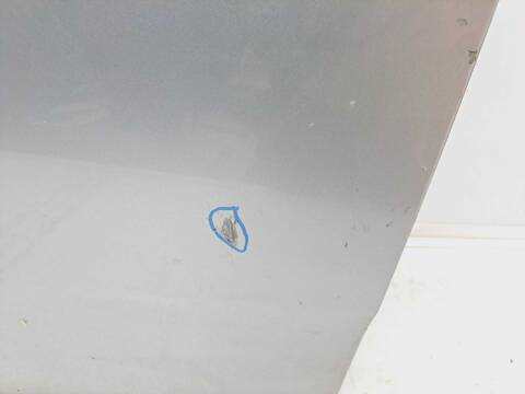 Foto 4ª: Puerta Delantera Izquierda Fiat Grande Punto 75CV 55KW (2007)