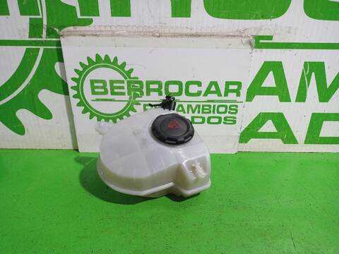 Deposito Expansion Volkswagen T-Roc BASIS 110CV