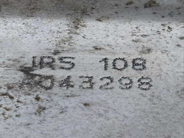 Foto 3ª: Caja Cambios Renault Megane 1.5 DCI BM02 BM13 BM2A CM02 CM13) II BM0/1_ CM0/1_) (2001)