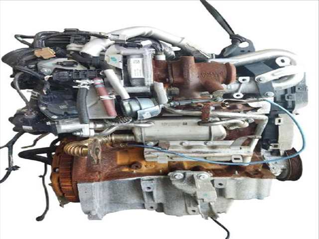 Foto 3ª: Motor Completo Renault Express 1.5 DCI 90 FW0G FW05 FW08 FW11) KANGOO FW0/1_) (2008)