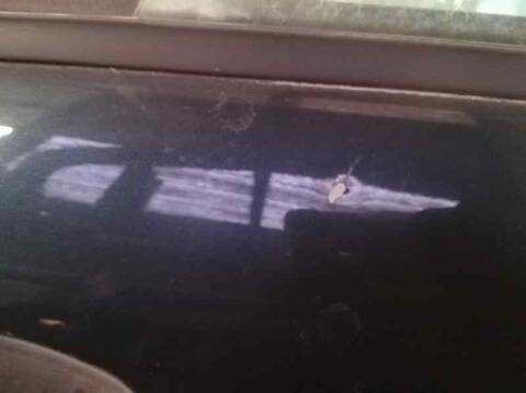 Foto 2ª: Puerta Trasera Derecha Citroen C4 COLLECTION 114CV 84KW [9H05] (2012)