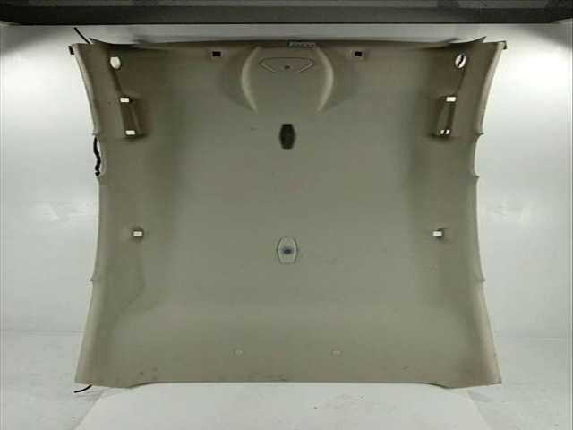 Techo Interior Ford Focus BUSINESS 125CV 92KW