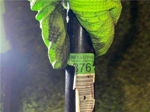 Foto 3ª: Barra Estabilizadora Delantera Citroen Jumpy 1.6 CONFORT M [1 6 LTR. - 85 KW BLUE-HDI FAP] 116CV FURGON [BHX / DV6FCU]