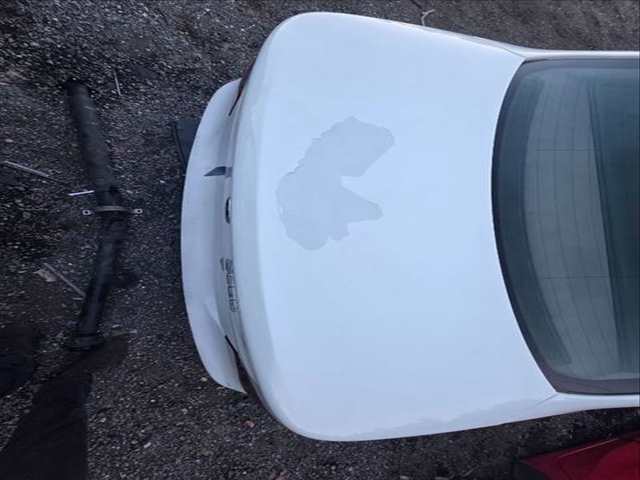 Portón Bmw Serie 5 518 M57306D2 BERLINA