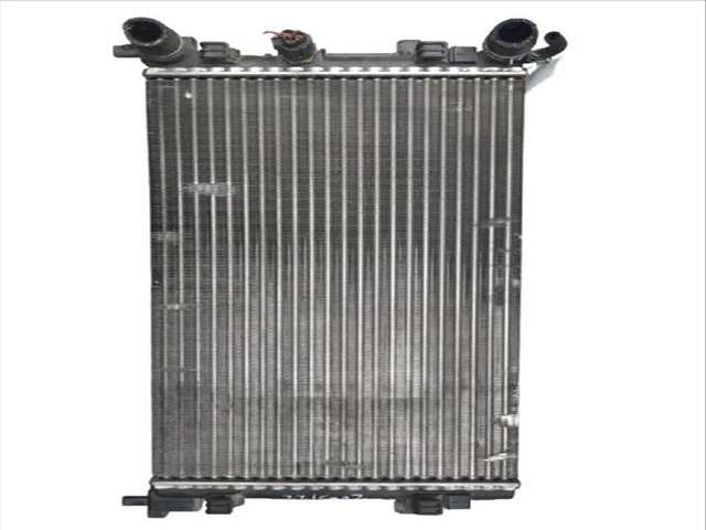 Foto 1ª: Radiador Motor Seat Ibiza 1.2 TDI 75CV (2008)