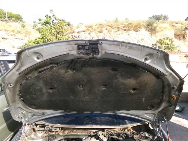 Foto 2ª: Capot Volkswagen Golf 2.0 TDI MODELO PLUS,2004-2009 [BKD] (2005)