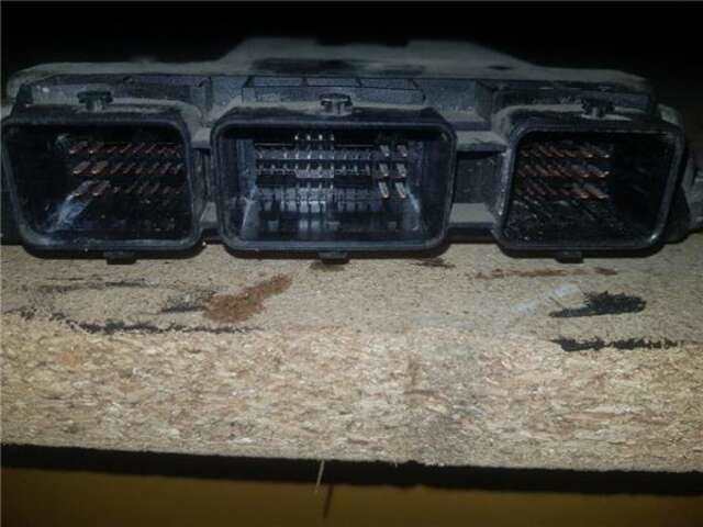 Foto 3ª: Centralita Motor ECU Citroen Berlingo 1.6 HDI 75 X COMBI [1.6 LTR. - 55 KW 16V HDI] [9HW]