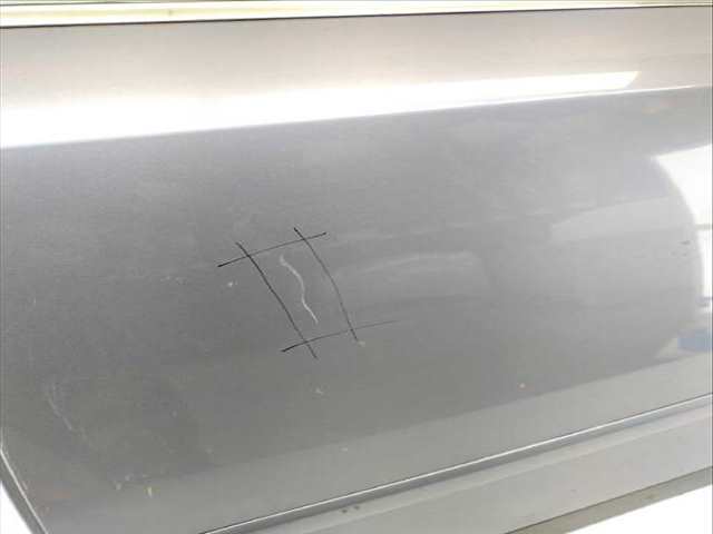 Puerta Trasera Izquierda Audi A4 1.9 TDI