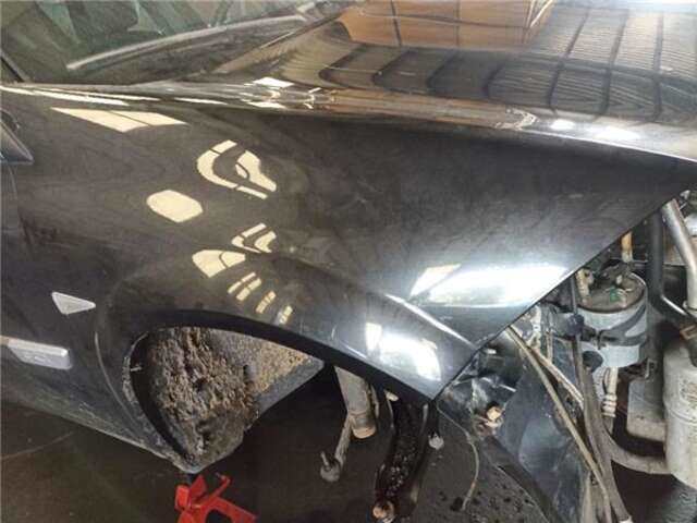 Aleta Delantera Derecha Renault Megane 1.5 AUTHENTIQUE [1.5 LTR. - 78 KW DCI DIESEL] II BERLINA 5P (10.2002-_)