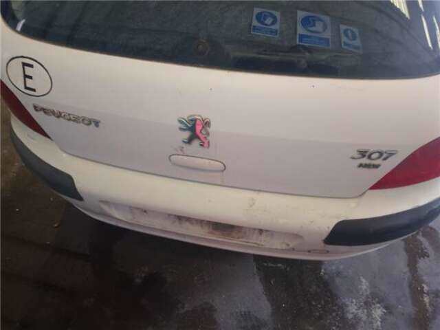 Paragolpes Trasero Peugeot 307 2.0 HDI 90