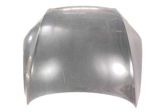 Foto 3ª: Capot Audi Q7 4.2 TDI QUATTRO (2006)
